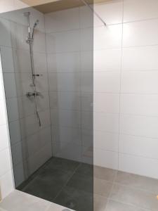 a shower with a glass door in a bathroom at Ferienwohnung Kirchler in Hippach