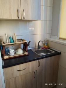 a kitchen counter with a sink and a tray with dishes at Алексеевские акварели.. in Kharkiv