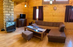Vikendica Pavle في تريبينيي: غرفة معيشة مع أريكة وموقد