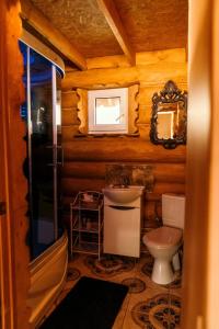 uma casa de banho com um WC, um lavatório e um espelho. em Väikesaare Guest House em Narva