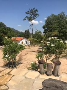 a garden with trees and a house in the background at Rancho do Paollo in Pirenópolis