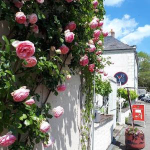 Une bande de roses roses sur un mur dans l'établissement Relais de la Mothe, à Yzeures-sur-Creuse
