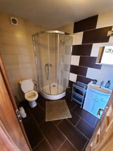 een badkamer met een douche, een toilet en een wastafel bij Apartmany Star in Liptovský Mikuláš