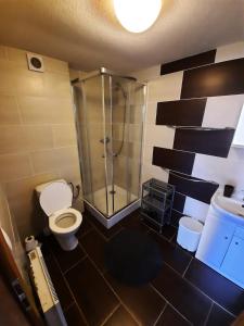 Kúpeľňa v ubytovaní Apartmany Star + 19 fotografií
