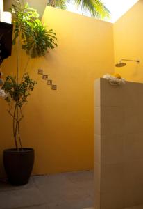 Fotografie z fotogalerie ubytování Villa Akasa v destinaci Varkala