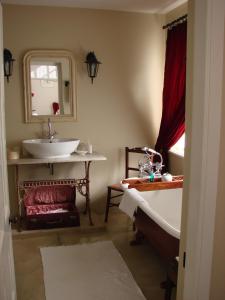 a bathroom with a sink and a mirror at Die Waenhuis Guest House in George
