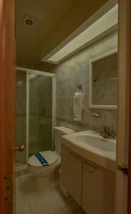 y baño con aseo, lavabo y ducha. en Suites Arquimedes 33, en Ciudad de México