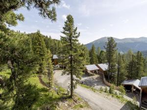 トゥルラッハー・ヘーエにあるChalet Alpenpark Turracherhöhe 1の山道家屋上空