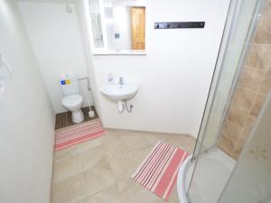 Ein Badezimmer in der Unterkunft Holiday Home in Jiretín near Ski Lift