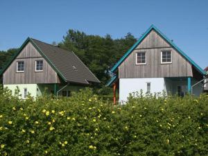 duas casas com telhados em cima de um campo de flores em Allergy-friendly holiday home near the beach with lake view em Kägsdorf