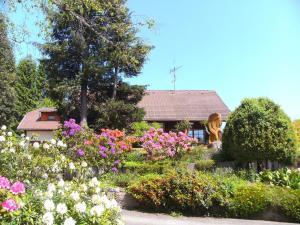 einen Garten mit Blumen vor einem Haus in der Unterkunft Apartment in G tenbach with nearby forest in Furtwangen