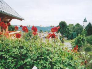 um jardim com flores vermelhas em frente a um edifício em Flat near the ski area in Urberg em Urberg