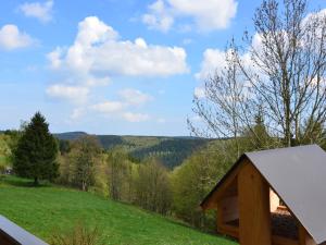 una casa en una colina con un campo verde y árboles en Cosy apartment in Frauenwald near forest, en Frauenwald