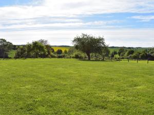 un grand champ verdoyant avec des arbres au loin dans l'établissement Holiday home with garden, à Fontainejean