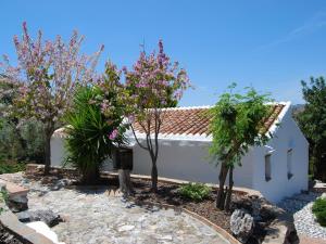 AcebuchalにあるBelvilla by OYO Cortijo Ricardoの目の前に木々が植えられた白い家