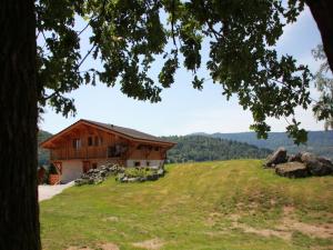 Chalet in Le Thillot with Skiing & Horse Riding Nearby في Le Ménil: منزل على قمة تلة عشبية