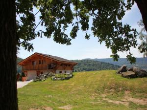 a house on top of a grassy hill at Chalet in Le Thillot with Skiing & Horse Riding Nearby in Le Ménil