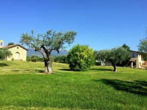 TordandreaにあるBelvilla by OYO Villa Angeliの木々と家の緑草原