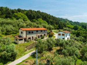 UzzanoにあるHoliday Home in Pescia with Swimming Pool Garden Terraceの木立の古家