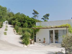 een klein wit gebouw met een pad ernaast bij A Perfect villa with pool terrace and garden in Alcobaça