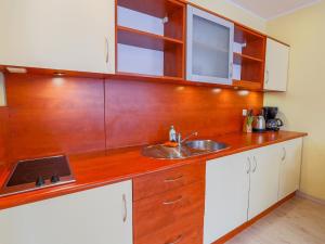 ミエンジズドロイェにあるComfortable Apartment in Miedzyzdroje near Beachのキッチン(シンク、木製キャビネット付)