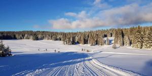 Gallery image of Horská Kvilda - Ubytování U Chvalů in Horská Kvilda