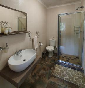 a bathroom with a sink and a shower and a toilet at Invermooi Estate in Nottingham Road