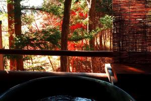 Blick auf ein Fenster mit Blick auf einen Baum in der Unterkunft Gableview Forest Inn ゲーブルビュー in Nikko