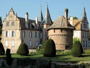 un vieux château avec une tourelle en face dans l'établissement Le Château D'Osthoffen, à Osthoffen