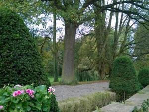 Zahrada ubytování Le Château D'Osthoffen