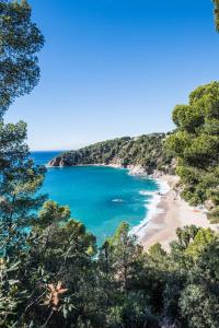 a view of a beach with trees and the ocean at Camping Cala Llevado in Tossa de Mar