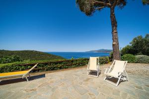 dwa krzesła i drzewo na patio z oceanem w obiekcie Appartamenti Vista Mare - Goelba w mieście Capoliveri