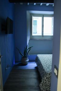 a blue room with a bed and a window at LuccaStay 18 in Lucca