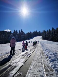 Το Apartmajsko naselje Ribniško Pohorje τον χειμώνα