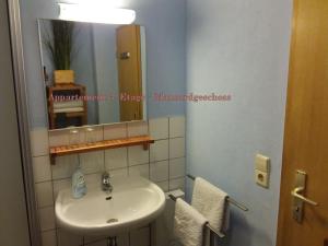 ein Bad mit einem Waschbecken und einem Spiegel in der Unterkunft City-Ferienwohnungen-Dresden - zentral gelegen im Haus Louisenstrasse 11 - Dresden-Neustadt in Dresden