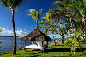 una hamaca en el césped junto al agua con palmeras en Arraial D'ajuda Eco Resort en Arraial d'Ajuda