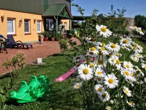 a garden with daisies and a house at Ferienhof Petersen - Gastfreundschaft im hohen Norden in Großenwiehe