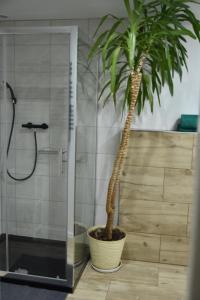 Kúpeľňa v ubytovaní Apartament Centrum