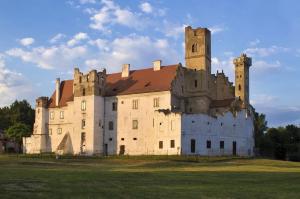 an old castle sitting on top of a field at Hostel Tereza Břeclav in Břeclav