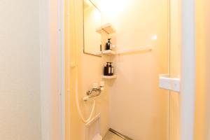 ein Bad mit einer Dusche, einem Waschbecken und einem Spiegel in der Unterkunft Dio in Fujikawaguchiko