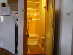 Koupelna v ubytování Apartmán Dvorečná + 37 fotografií