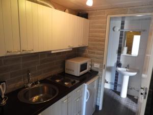 eine kleine Küche mit Spüle und Mikrowelle in der Unterkunft Käringsund Resort in Eckerö + 112 Fotos