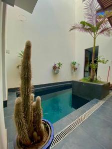 Bazén v ubytování Riad Love B&B nebo v jeho okolí