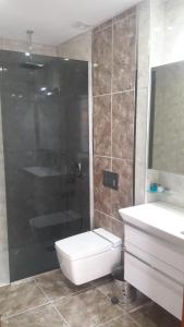 a bathroom with a toilet and a shower and a sink at Nysa Hotel in Sultanhisar