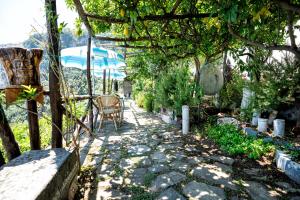 Zahrada ubytování B&B Ercole di Amalfi