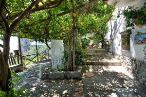 Zahrada ubytování B&B Ercole di Amalfi