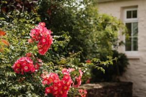 Fotografie z fotogalerie ubytování Stoodleigh Court Coach House v destinaci Tiverton