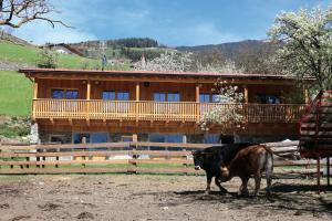 een koe die voor een houten huis staat bij NEUE Ferienwohnungen auf dem Gebreitnerhof, Urlaub auf dem Bauernhof in Bressanone