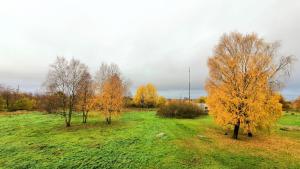 Paesaggio naturale nelle vicinanze dell'affittacamere
