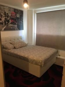 1 Bed Apt near Canary Wharf London city centre